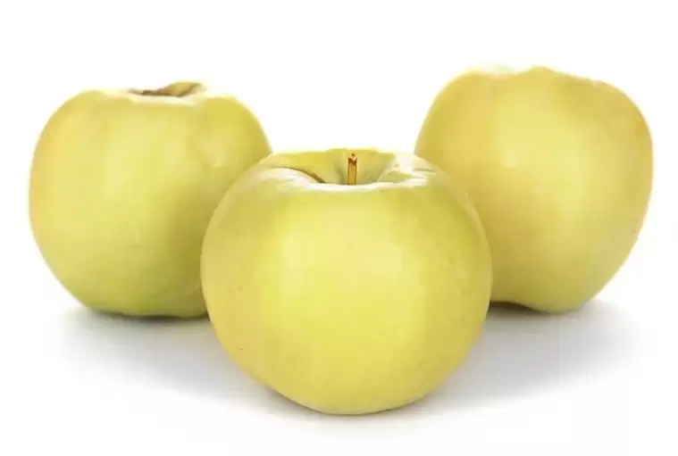 apple to treat varicose veins